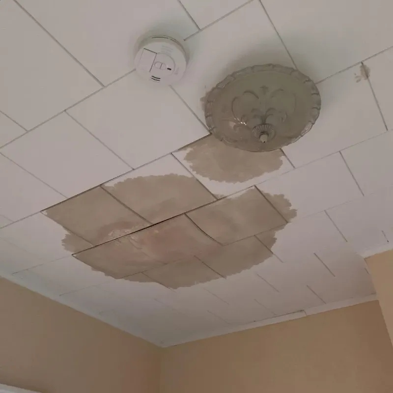 Ceiling Water Damage Repair in Leland, MS