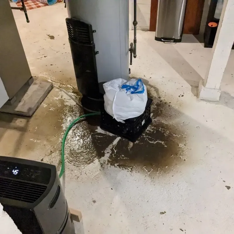 Sewage Backup Cleanup Service in Leland, MS